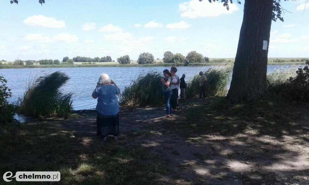 Domy - nie tylko szklane - w Powiecie Chełmińskim