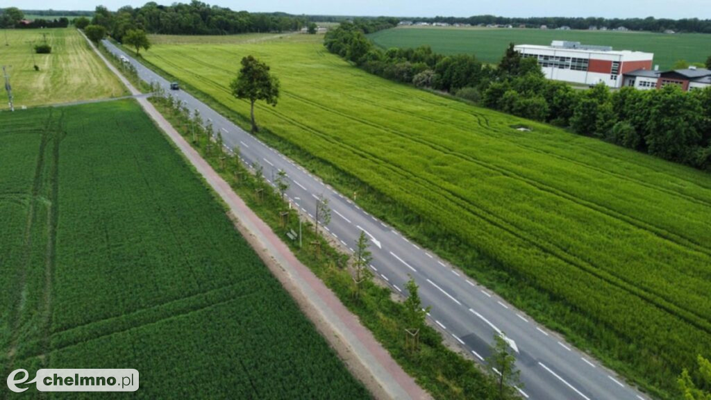 Zielona aleja powstanie wzdłuż kolejnej wojewódzkiej drogi