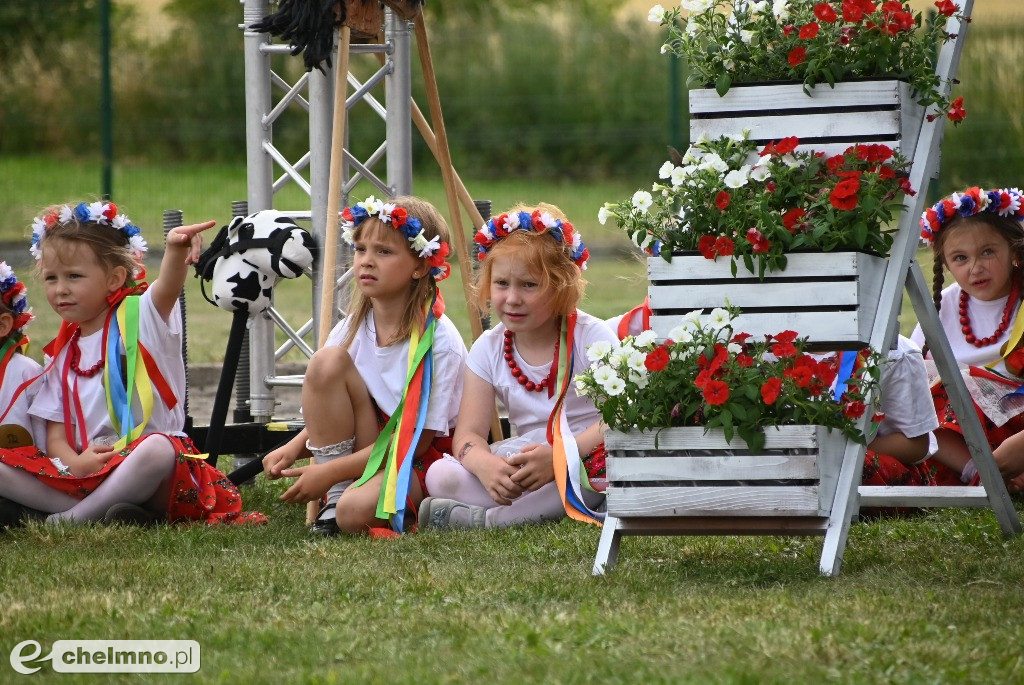 Piknik Samorządowy w Wabczu – święto wspólnoty i uhonorowanie zasłużonych!