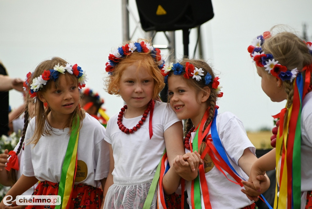 Piknik Samorządowy w Wabczu – święto wspólnoty i uhonorowanie zasłużonych!