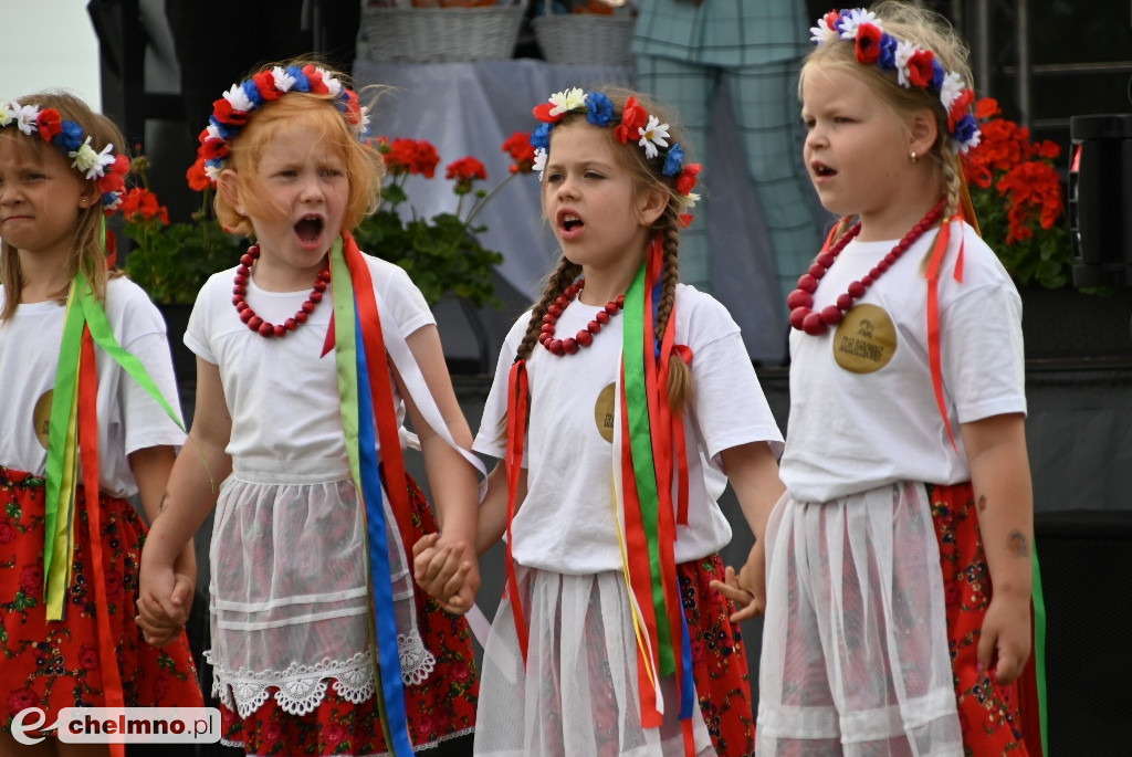 Piknik Samorządowy w Wabczu – święto wspólnoty i uhonorowanie zasłużonych!