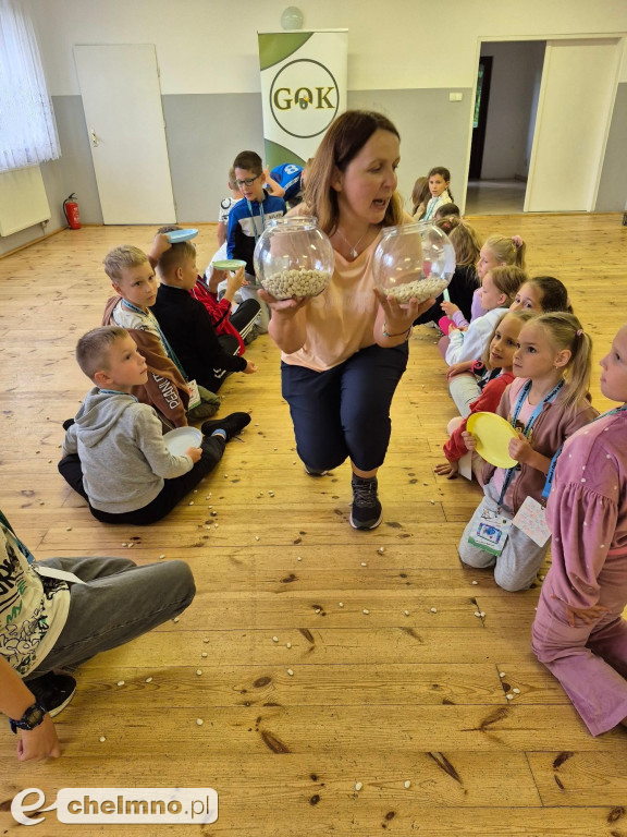 Chcecie wiedzieć, co u nas? Jak Wakacje z Kulturką?