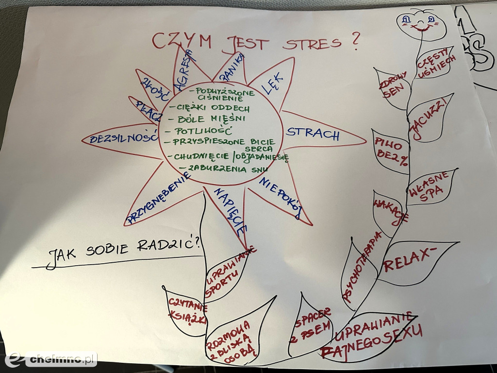 Badaliśmy się, szkoliliśmy i mamy ergonomiczne stanowiska pracy!