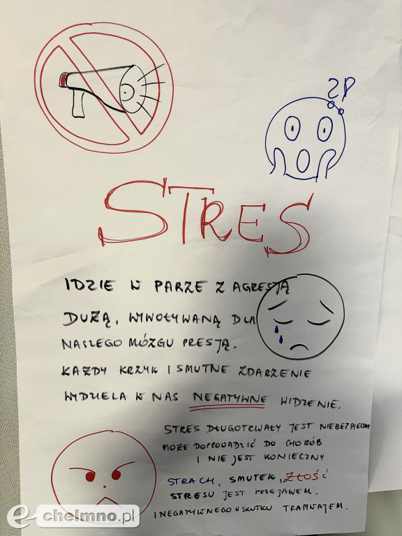Badaliśmy się, szkoliliśmy i mamy ergonomiczne stanowiska pracy!