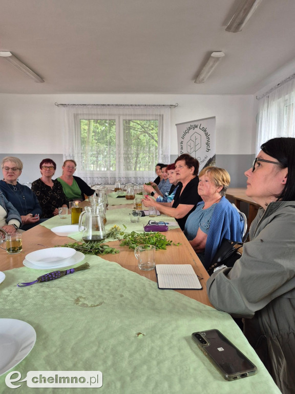 Zielarska moc natury – warsztaty, które zostaną z nami na długo