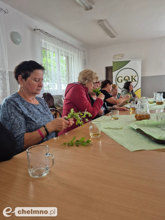 Zielarska moc natury – warsztaty, które zostaną z nami na długo