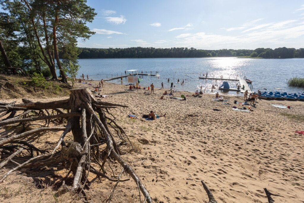 Gostynińsko-Włocławski Park Krajobrazowy