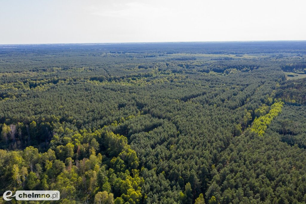 Gostynińsko-Włocławski Park Krajobrazowy