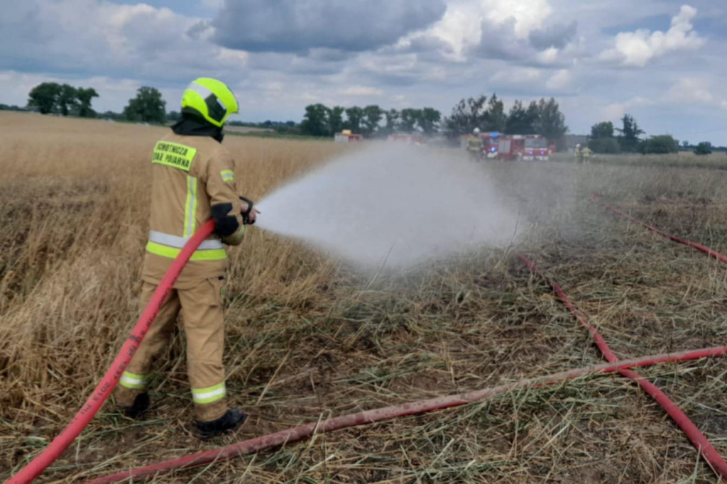 Pożar pola w miejscowości Lipienek– zagrożone budynki