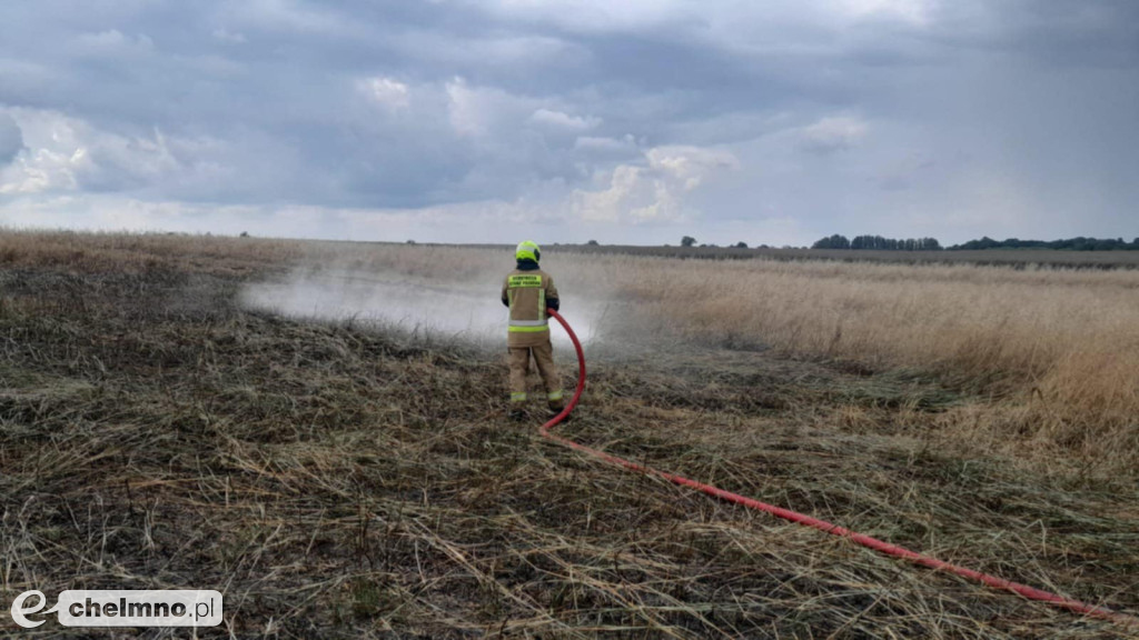 Pożar pola w miejscowości Lipienek– zagrożone budynki
