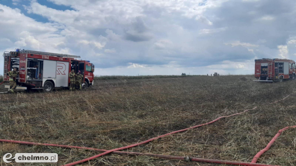 Pożar pola w miejscowości Lipienek– zagrożone budynki
