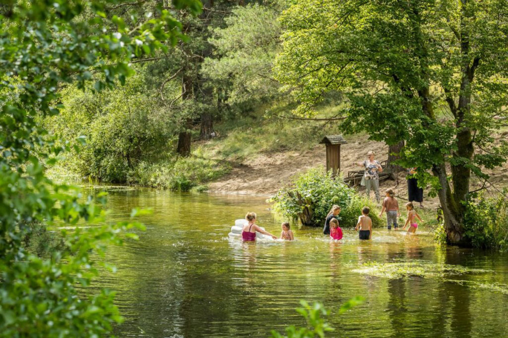 Tucholski Park Krajobrazowy zaprasza na grzyby, ryby i kajaki