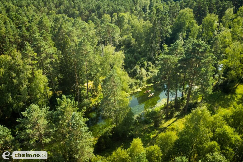 Tucholski Park Krajobrazowy zaprasza na grzyby, ryby i kajaki