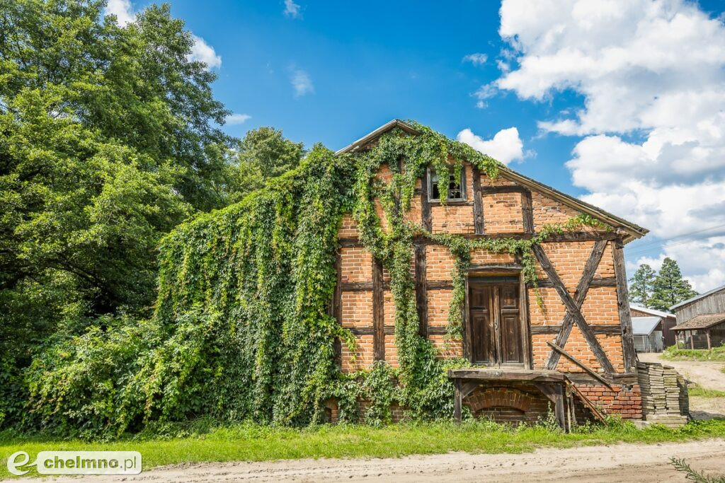 Tucholski Park Krajobrazowy zaprasza na grzyby, ryby i kajaki