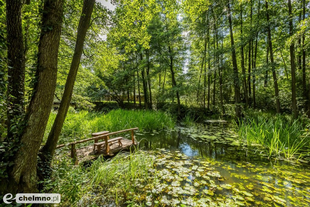 Tucholski Park Krajobrazowy zaprasza na grzyby, ryby i kajaki