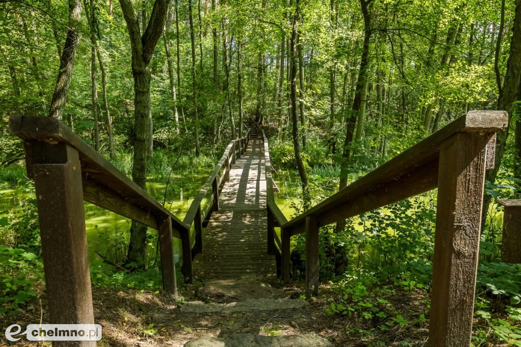 Tucholski Park Krajobrazowy zaprasza na grzyby, ryby i kajaki