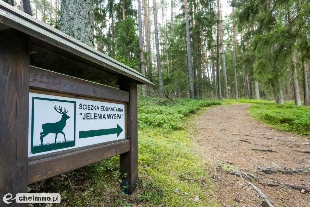 Tucholski Park Krajobrazowy zaprasza na grzyby, ryby i kajaki