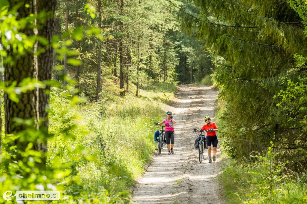 Tucholski Park Krajobrazowy zaprasza na grzyby, ryby i kajaki