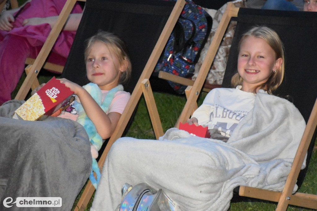Familijne kino w świetle perseidów