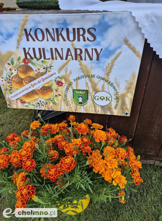 Fotorelacja z Dożynek w Gminie Kijewo Królewskie