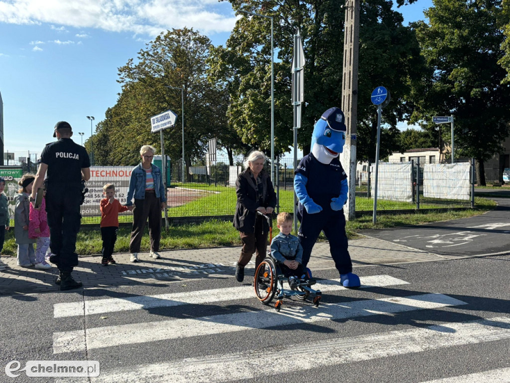Z Polfinem przez pasy - policjanci uczą najmłodszych
