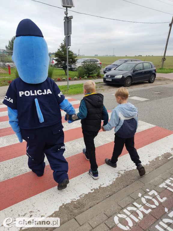 Z Polfinem przez pasy - policjanci uczą najmłodszych
