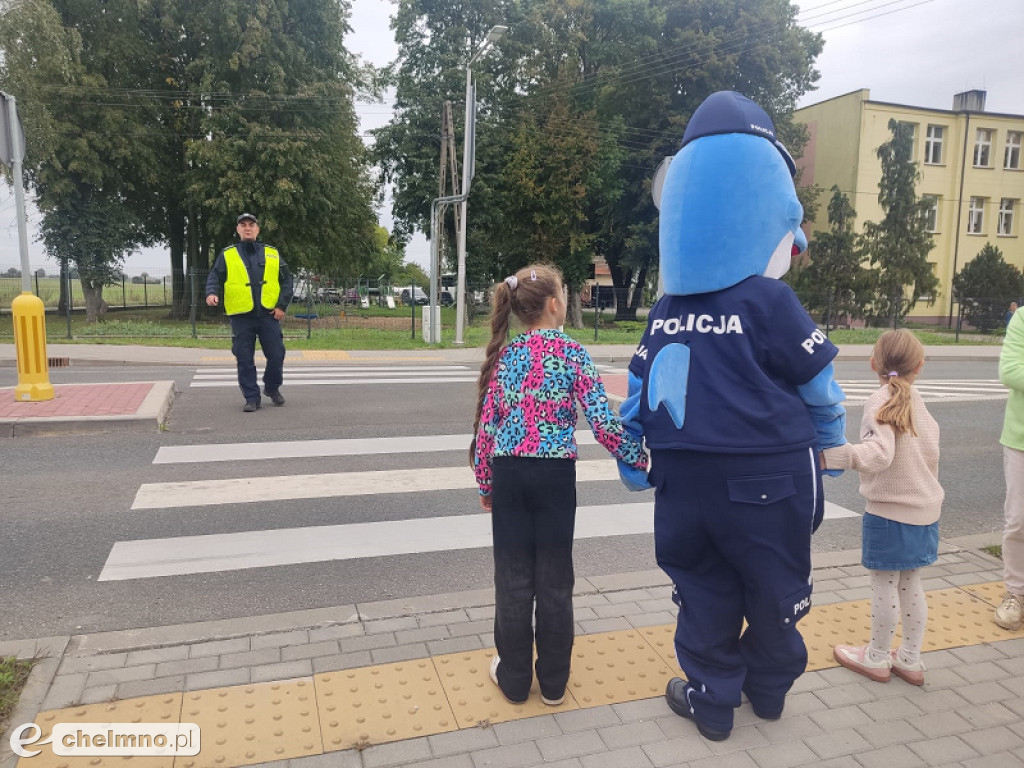 Z Polfinem przez pasy - policjanci uczą najmłodszych