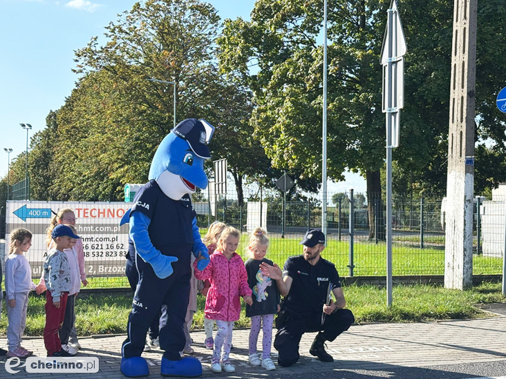 Z Polfinem przez pasy - policjanci uczą najmłodszych