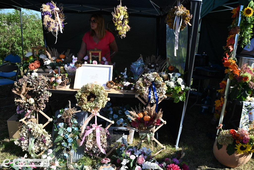 Festiwal Produktów Lokalnych na Górze Zamkowej
