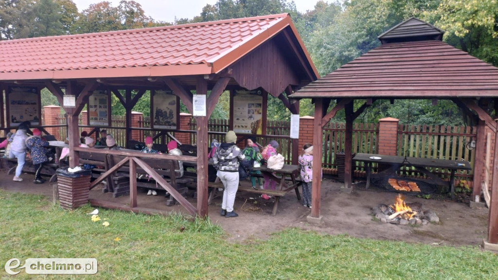 Gmina Stolno rozpoczęła realizację projektu „Zielono mi”