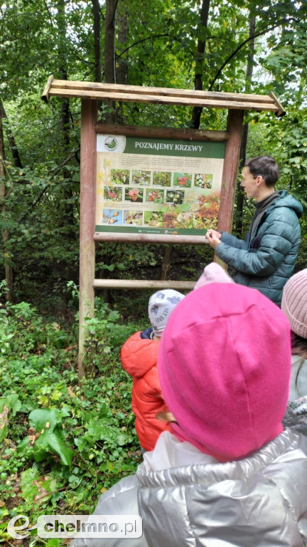 Gmina Stolno rozpoczęła realizację projektu „Zielono mi”