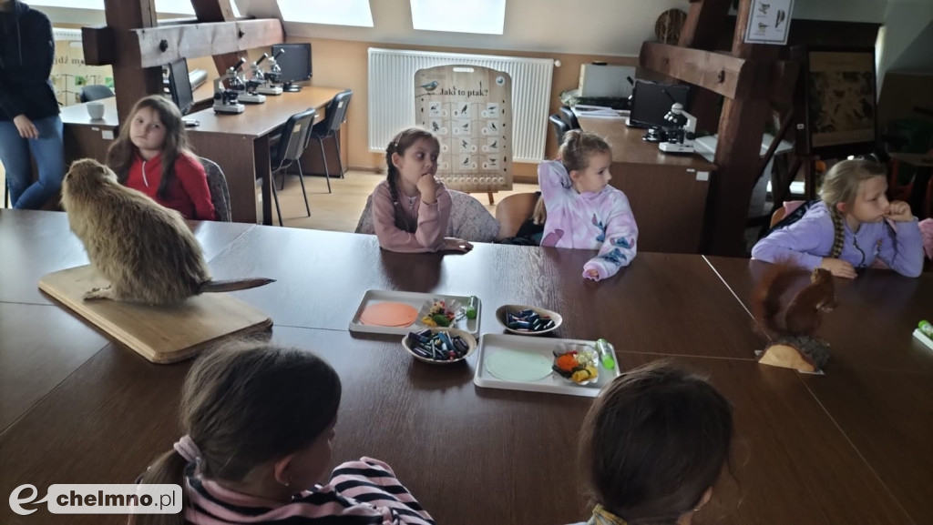Gmina Stolno rozpoczęła realizację projektu „Zielono mi”