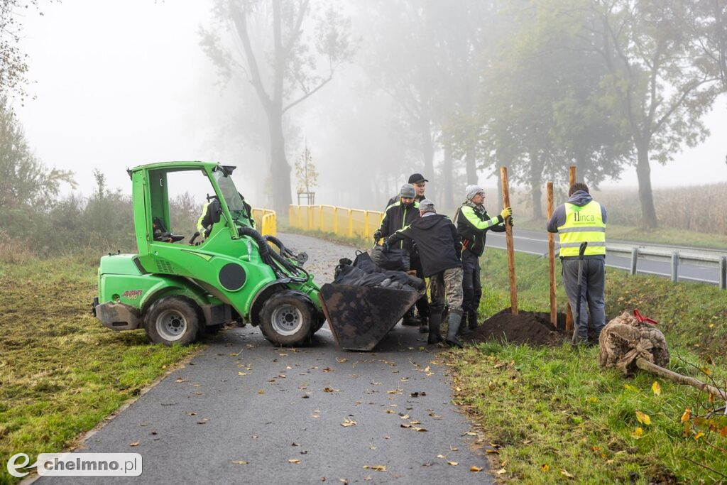Coraz więcej zielonych dróg w regionie