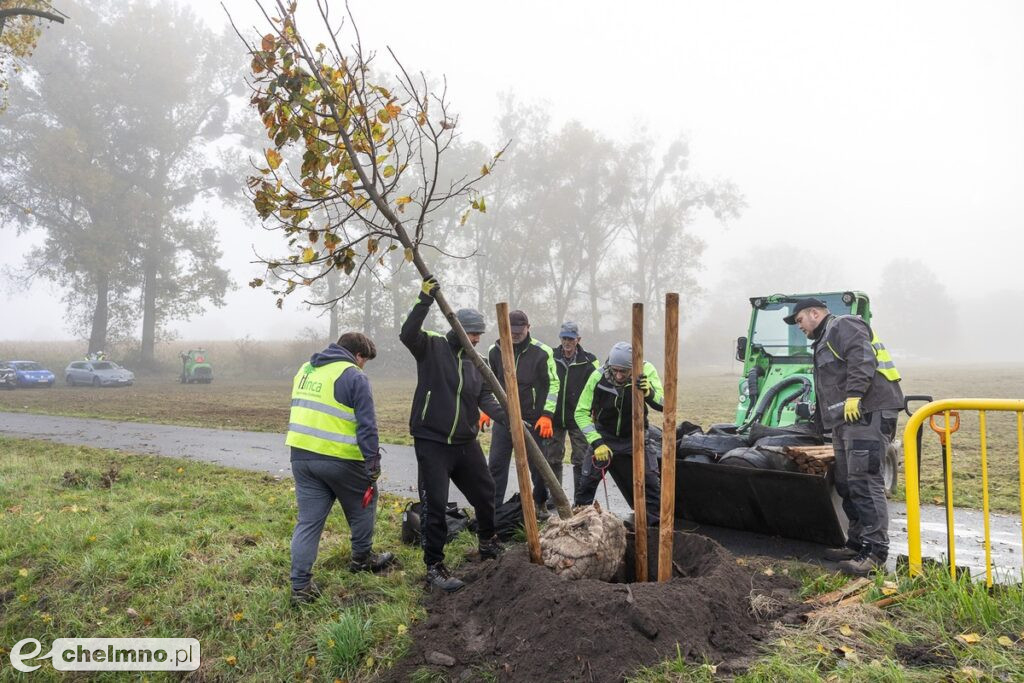 Coraz więcej zielonych dróg w regionie