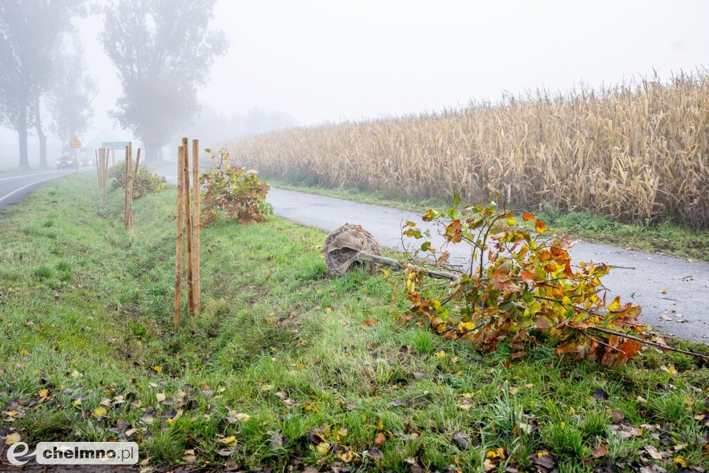Coraz więcej zielonych dróg w regionie