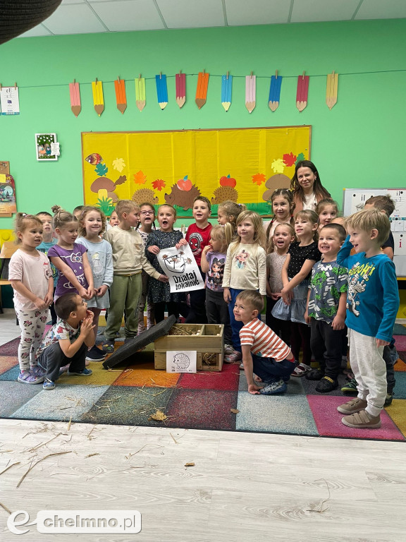 Nasze domki dla jeży i owadów znalazły swoje miejsca