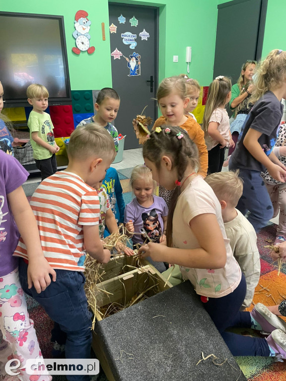 Nasze domki dla jeży i owadów znalazły swoje miejsca