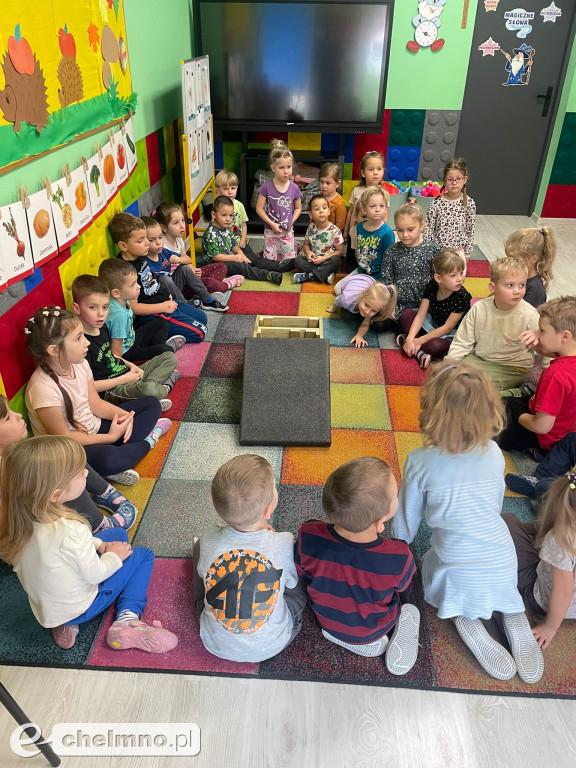 Nasze domki dla jeży i owadów znalazły swoje miejsca