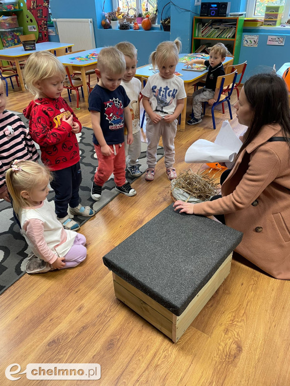 Nasze domki dla jeży i owadów znalazły swoje miejsca