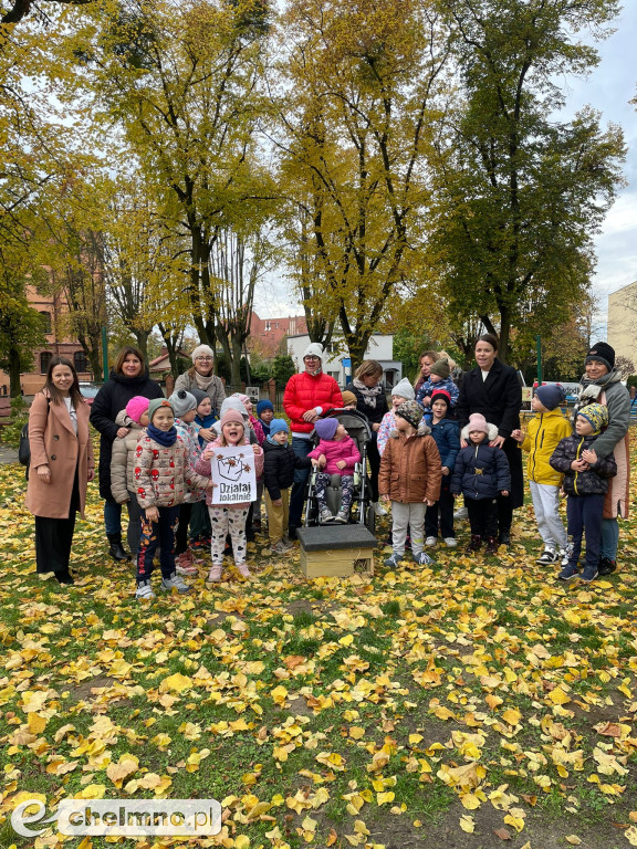 Nasze domki dla jeży i owadów znalazły swoje miejsca