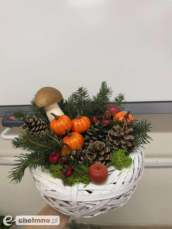 Jesienne czary-mary w Technikum Architektury Krajobrazu