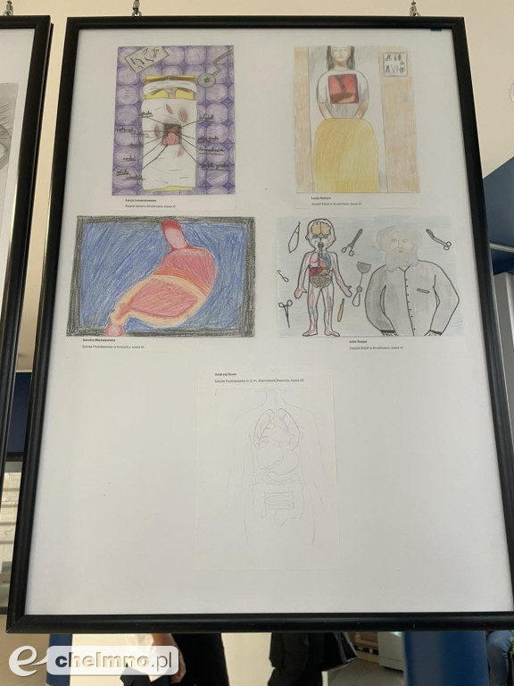 Anatomia Talentu 2025 – rozdanie nagród za nami!