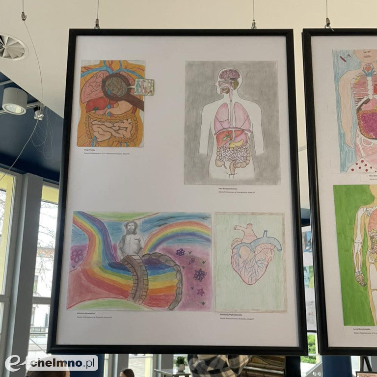 Anatomia Talentu 2025 – rozdanie nagród za nami!