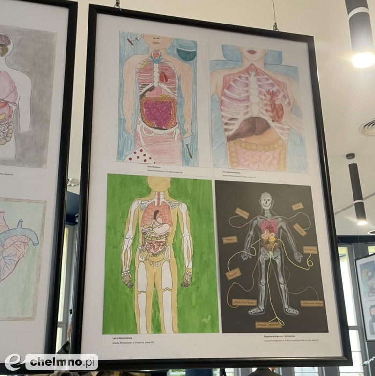 Anatomia Talentu 2025 – rozdanie nagród za nami!