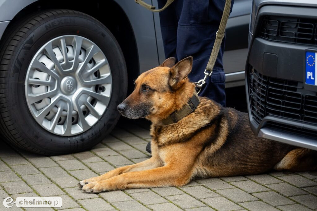 Nowoczesny sprzęt dla policji