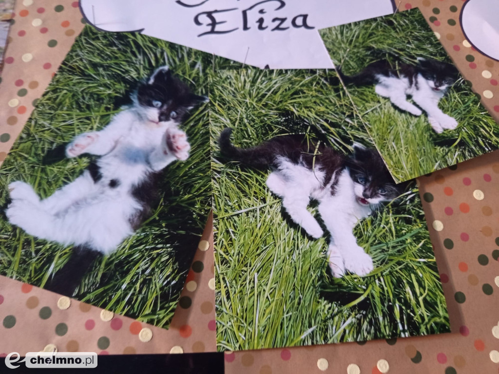 Konkurs na najśmieszniejsze zdjęcie swojego  zwierzaka