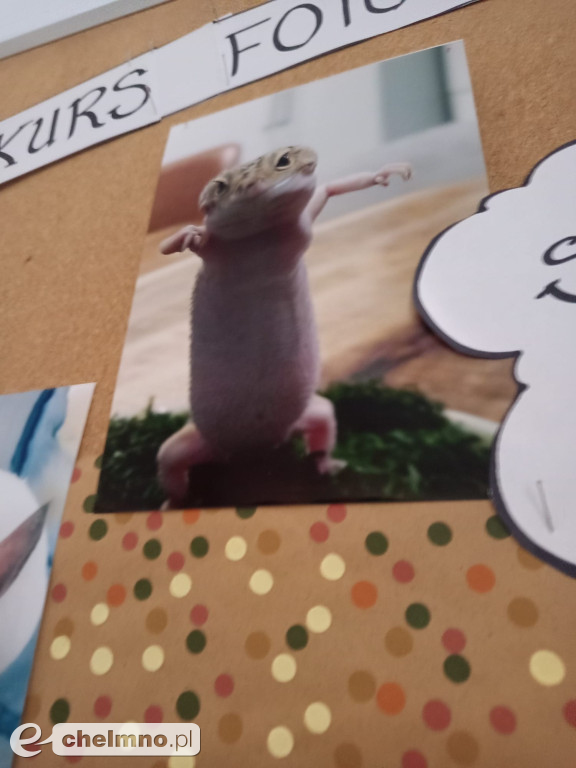 Konkurs na najśmieszniejsze zdjęcie swojego  zwierzaka