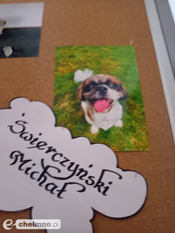 Konkurs na najśmieszniejsze zdjęcie swojego  zwierzaka