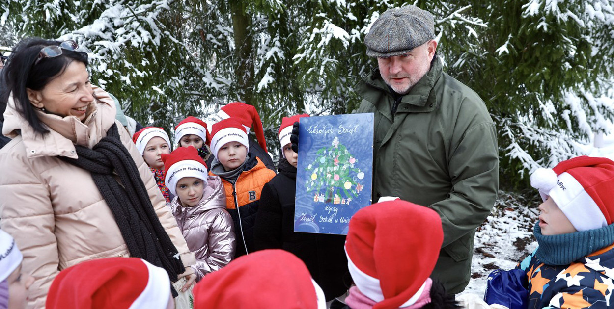 Wybraliśmy świąteczne drzewko