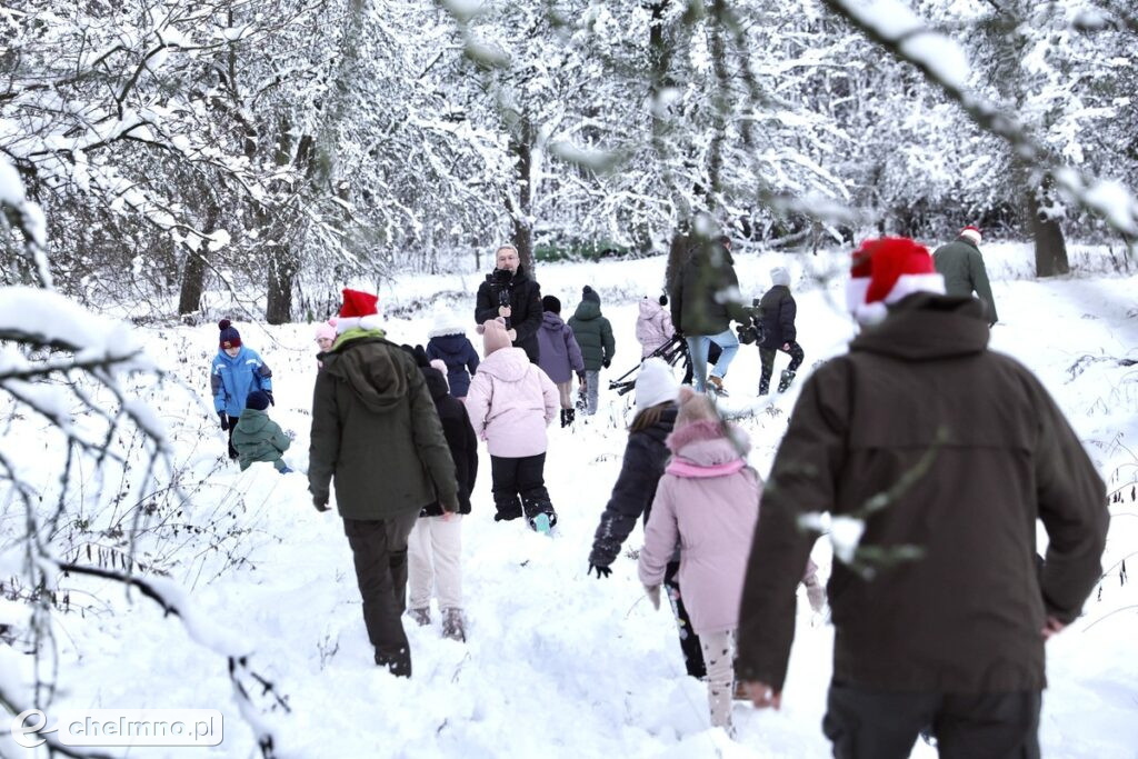 Wybraliśmy świąteczne drzewko